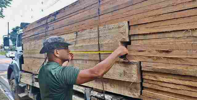 Polícia Ambiental apreende caminhão carregado com madeira ilegal em Ji-Paraná