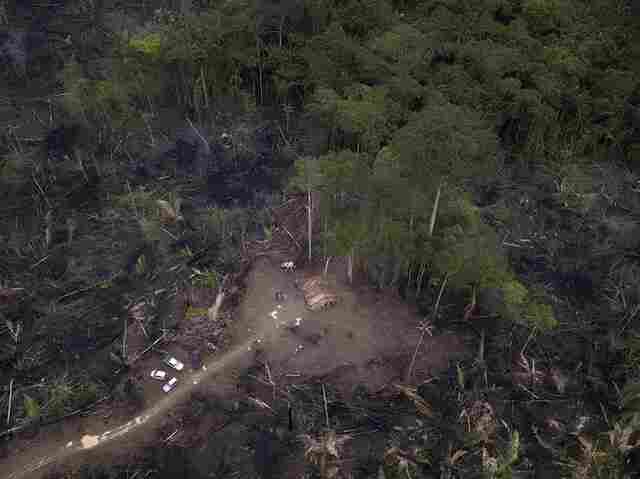 PM confirma chacina de 6 pessoas em assentamento da área rural de Porto Velho