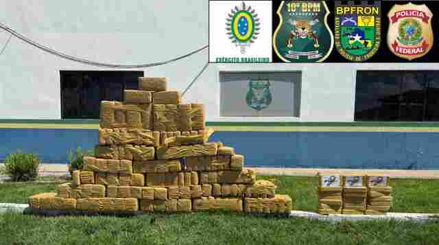 PF, PM e Exército apreendem 150 kg de drogas em operação na BR-429