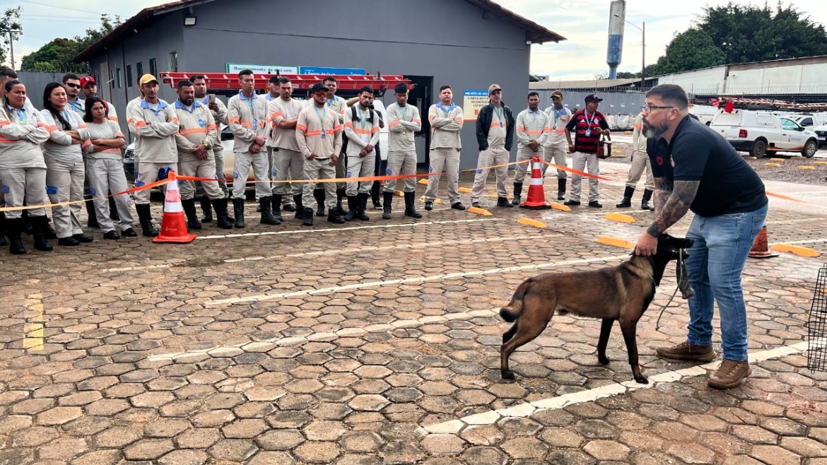 Colaboradores da Energisa participam de treinamento de prevenção ao ataque de cães