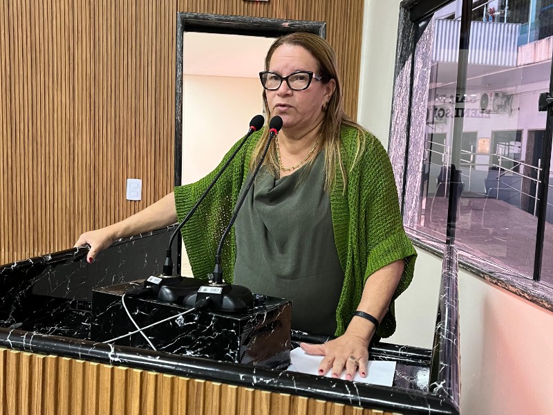 Aprovado o projeto de Ellis Regina que autoriza criação de faixas exclusivas para embarque e desembarque de passageiros