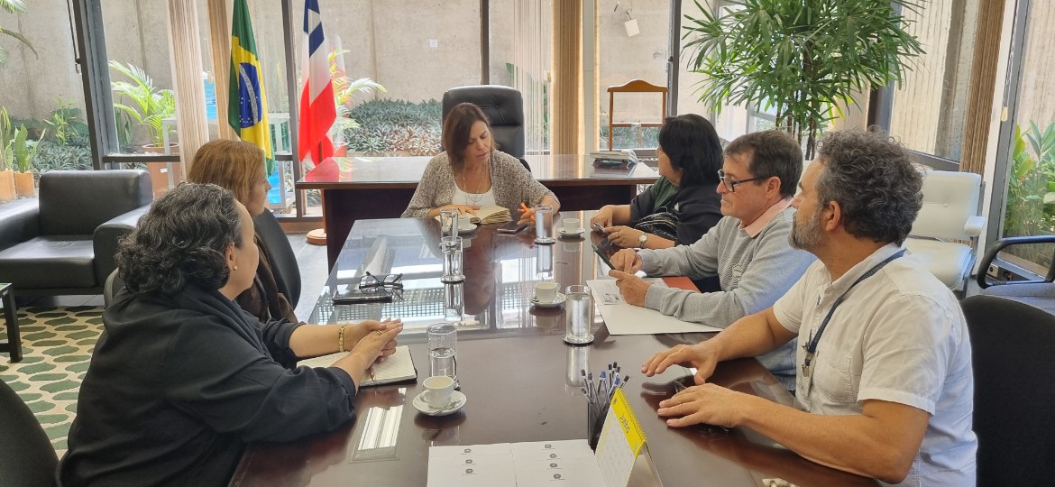 Sindsef busca apoio para retomada urgente do Grupo de Trabalho da carreira dos ex-Territórios