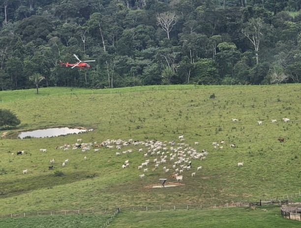 Agentes do ICMBio sofrem atentados em reserva no Acre