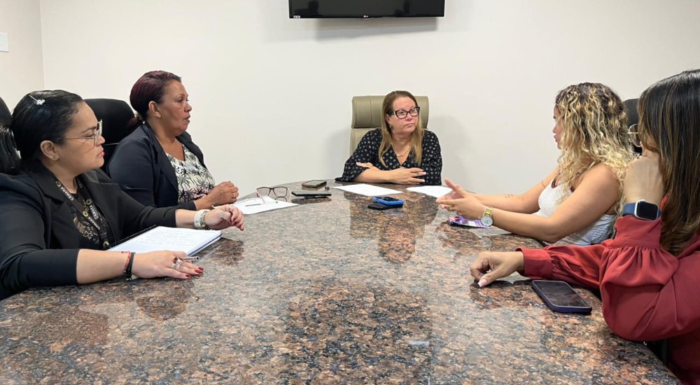 Subprocuradoria da Mulher debate calendário de atividades para o “Agosto Lilás”