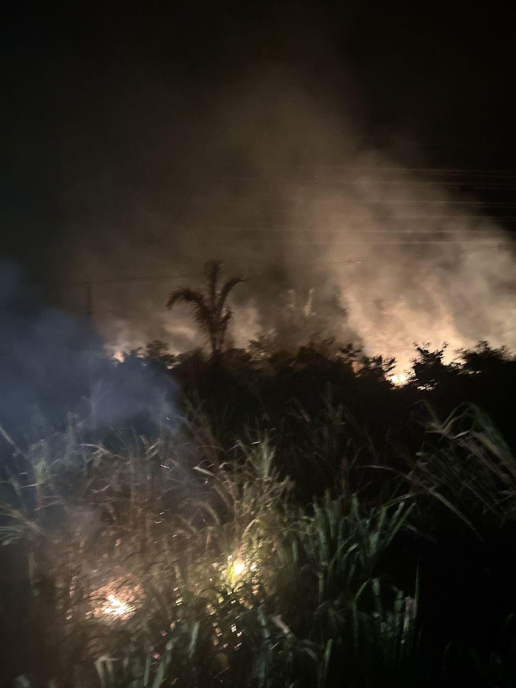 PF prende dois em flagrante por incêndios em áreas de vegetação em Rondônia