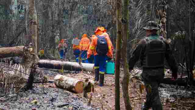 Governo de Rondônia diz que intensifica combate às queimadas com educação ambiental e fiscalizações