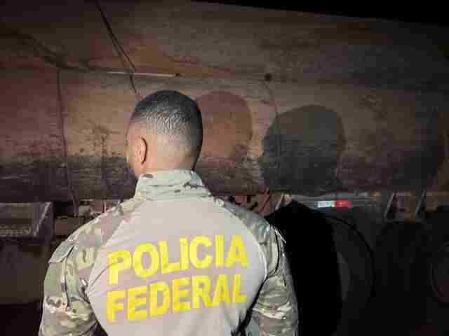 PF prende duas pessoas por transporte ilegal de madeira em Espigão do Oeste e Porto Velho
