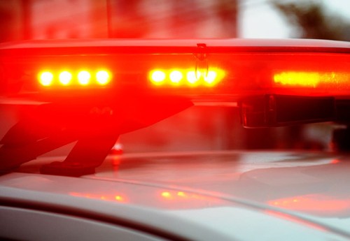 Criança de 4 anos morre após ser atingida por bezerro em distrito de Porto Velho