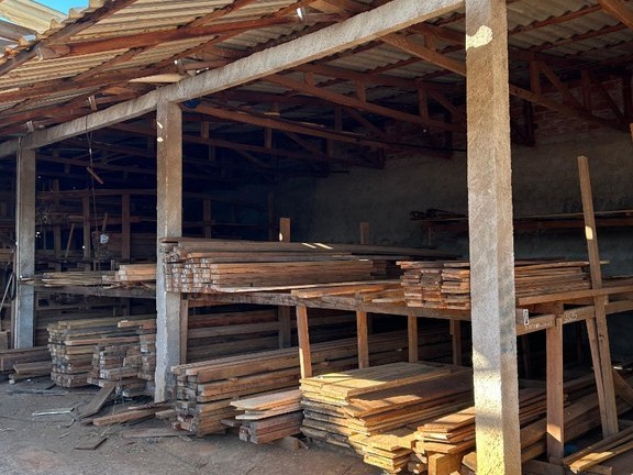 PF cumpre mandados durante operação contra extração ilegal de madeira em Terras Indígenas de Rondônia