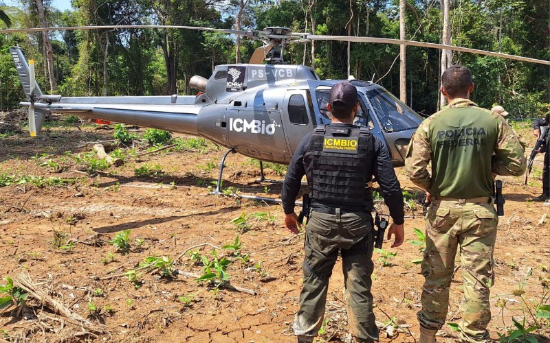 Operação combate crimes ambientais no Parque Nacional Mapinguari