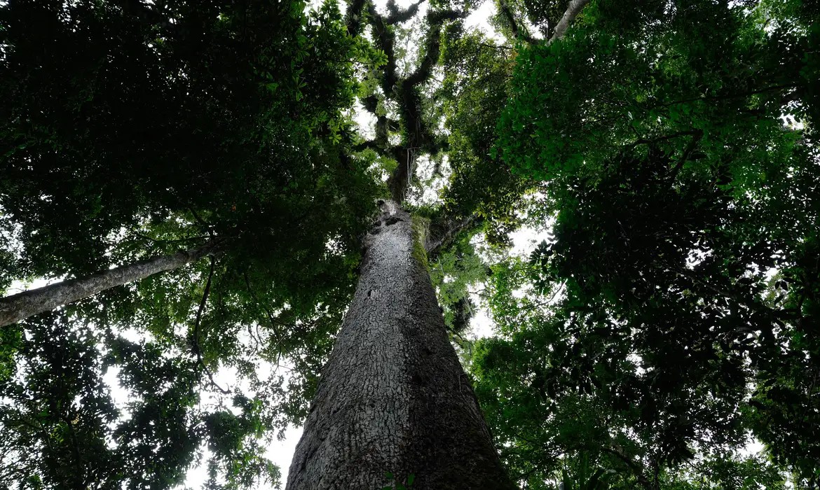 Presidente sanciona lei do licenciamento ambiental com 63 vetos
