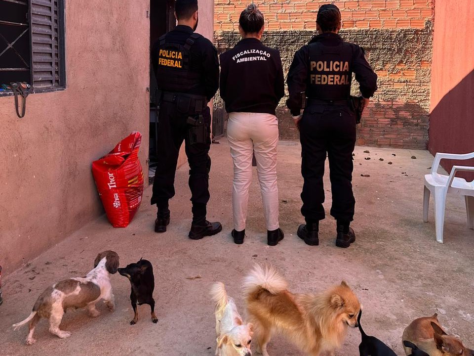 Operação da PF combate crimes de abuso sexual infantojuvenil, produção e armazenamento de material e maus-tratos a animais