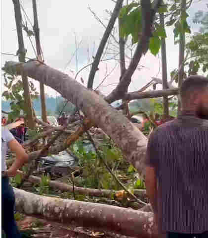 Vídeo: Ventania derruba árvores e duas pessoas tem ferimentos graves em Ministro Andreazza