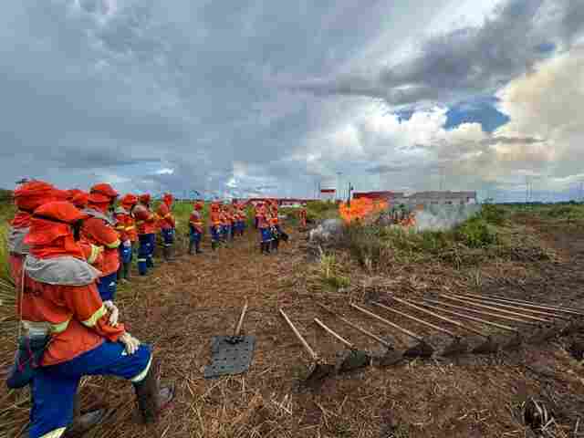 Governo contrata agentes temporários para reforçar combate a incêndios florestais
