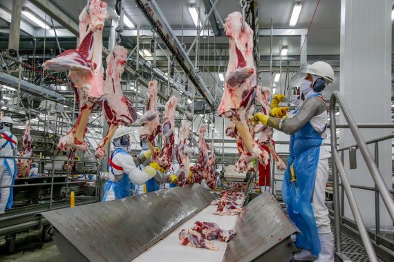 Rondônia recua 55% nas exportações de produtos para outros países