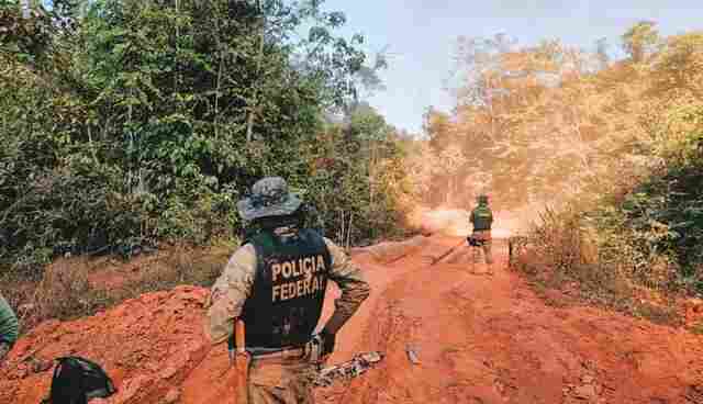 Operação Golden Hair: grupo liderado por empresário é investigado por garimpo e lavagem de dinheiro