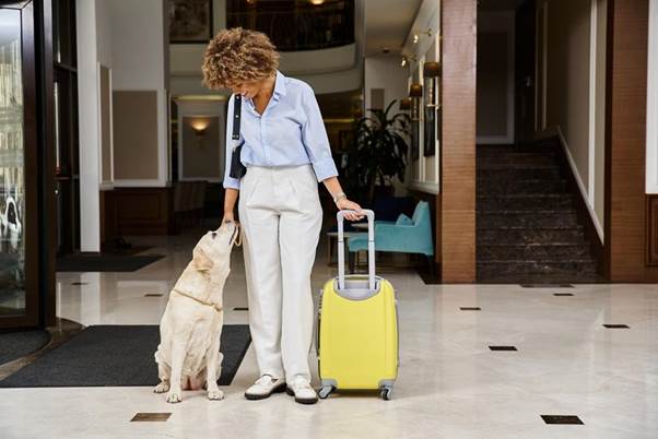 Hotéis que aceitam pet: guia prático para viajar com seu melhor amigo