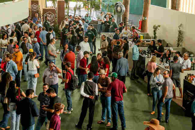 Com premiação recorde, Governo entrega mais de R$ 400 mil a cafeicultores no 10º Concafé