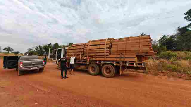 PF deflagra operação contra extração ilegal de madeira na Terra Indígena Roosevelt