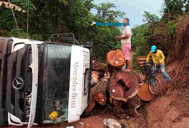 Motorista evita colisão com ônibus escolar, mas caminhão carregado de toras acaba tombando
