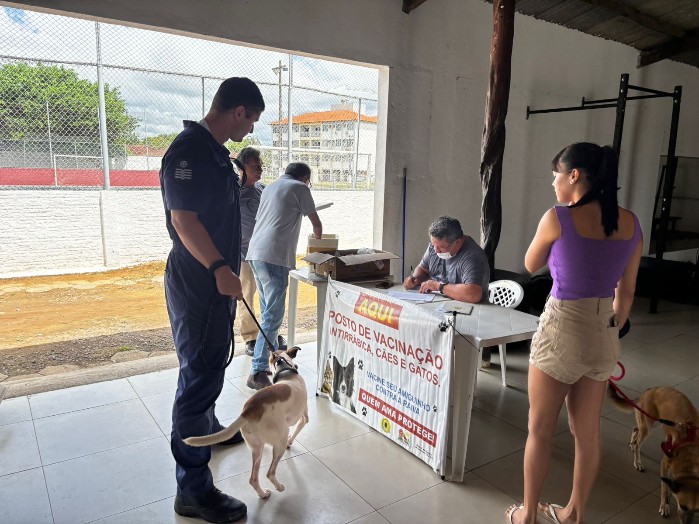 Sistema on-line de agendamento agiliza vacinação de cães e gatos