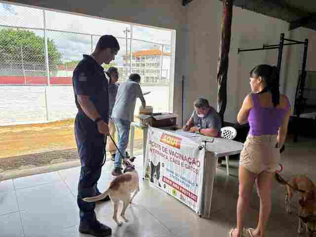 Sistema on-line de agendamento agiliza vacinação de cães e gatos
