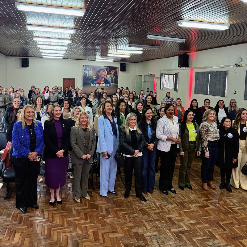 Deputada Gislaine Lebrinha participa de encontro nacional sobre enfrentamento à violência contra a mulher