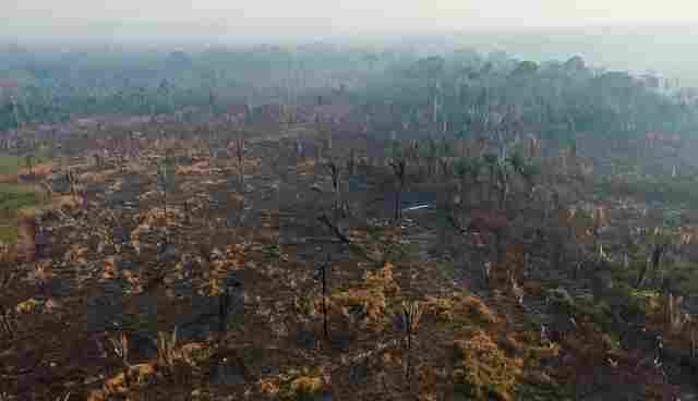 MPRO deflagra segunda fase da Operação Arigós, contra associação criminosa atuante em unidade de conservação