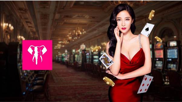 ElephantBet: guia completo para jogadores em Moçambique