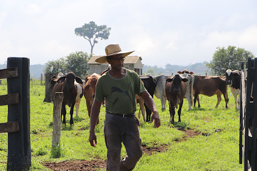 Produtor rural terá que pagar adiantado para garantir serviços do programa Porteira Adentro