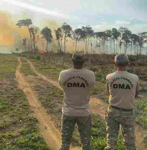 Mulher é presa por incêndio criminoso em área de floresta em Rondônia