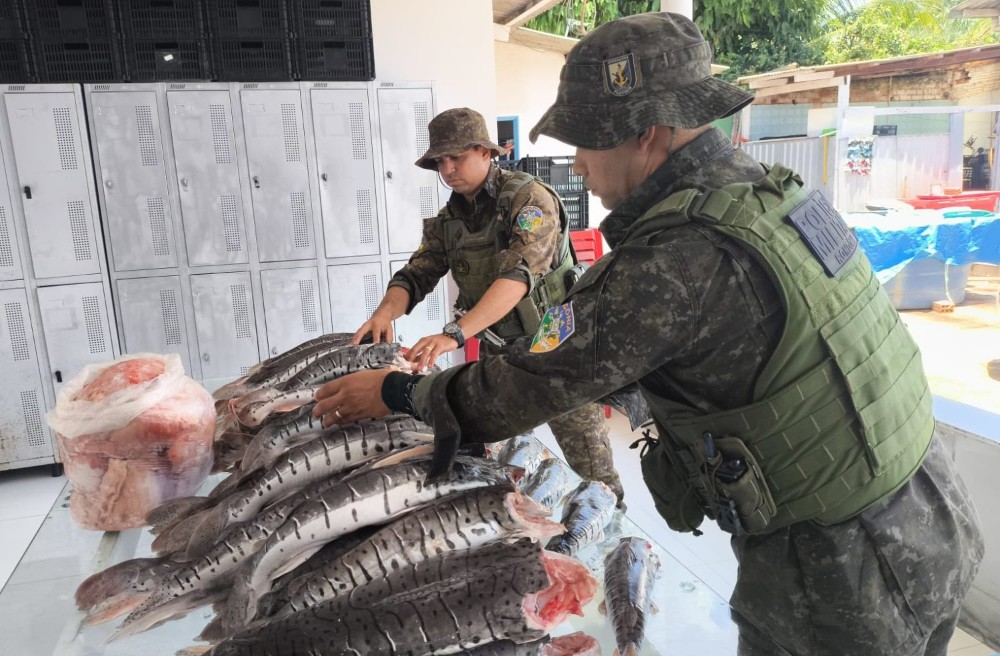 Operação apreende mais de 200 kg de pescado na BR-364; produto foi doado ao Hospital de Amor