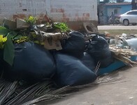 Moradores dos bairros Três Marias e Socialista cobram coleta, e empresa garante regularidade