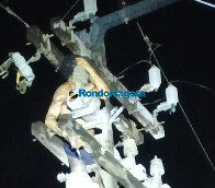 Vídeo: homem sofre descarga elétrica ao tentar furtar fios em poste na zona leste de Porto Velho