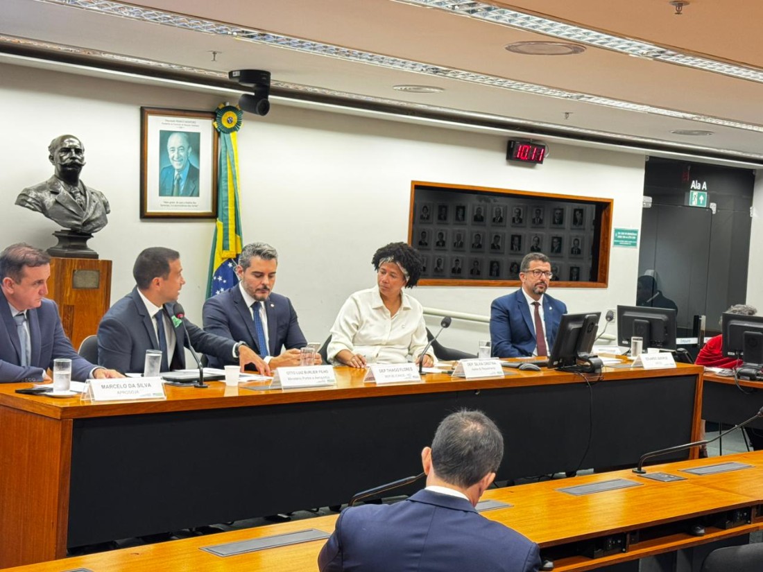 Deputados Sílvia Cristina e Thiago Flores comandam audiência sobre a concessão da hidrovia do Madeira