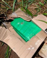 Forças de segurança frustram transporte de skunk em área portuária de Guajará-Mirim