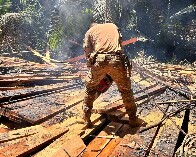 Operação Madeira Mamoré fecha madeireiras irregulares e apreende madeira em Nova Mamoré