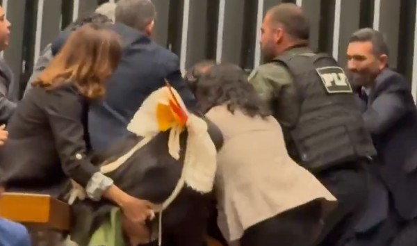 Vídeo: deputado é retirado a força da mesa diretora da Câmara Federal