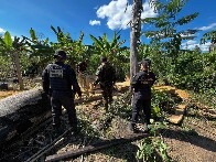 Operação da PF cumpre cinco mandados contra esquema de grilagem em terra indígena