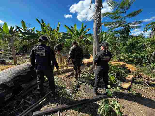 Operação da PF cumpre cinco mandados contra esquema de grilagem em terra indígena