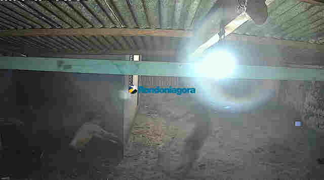 Irm&atilde;o tenta matar o outro com golpes de enxada em Porto Velho