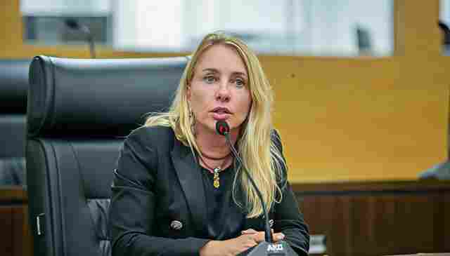 Lei proposta por Ieda Chaves aumenta prote&ccedil;&atilde;o e garante seguran&ccedil;a jur&iacute;dica a tutores de animais comunit&aacute;rios