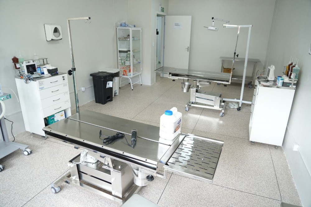 Cl&iacute;nica de Bem-Estar Animal tem hor&aacute;rios especiais no Carnaval