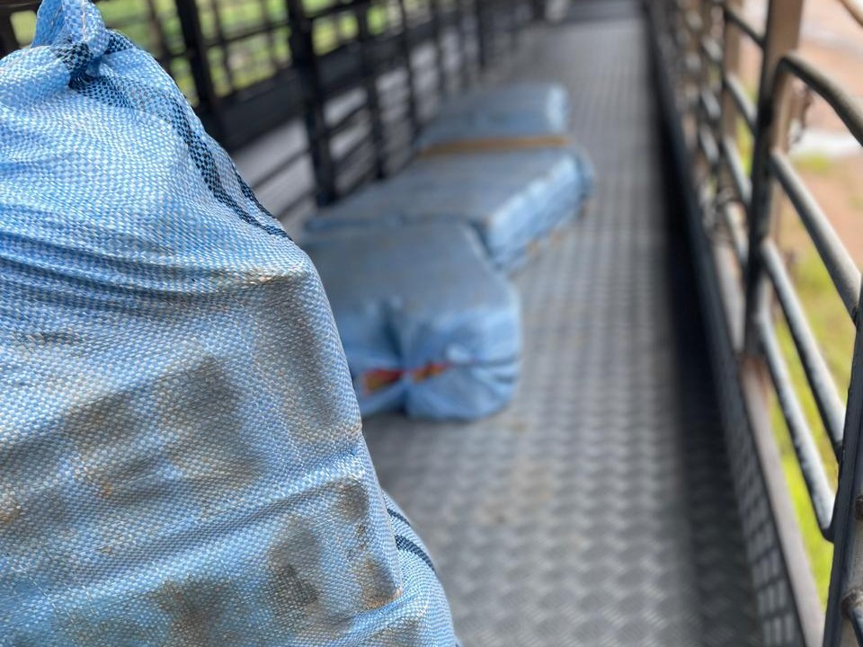 Motorista &eacute; preso transportando 261 kg de skunk entre Acre e Rond&ocirc;nia