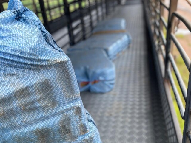 Motorista é preso transportando 261 kg de skunk entre Acre e Rondônia