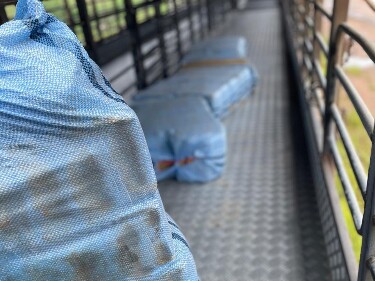 Motorista &eacute; preso transportando 261 kg de skunk entre Acre e Rond&ocirc;nia