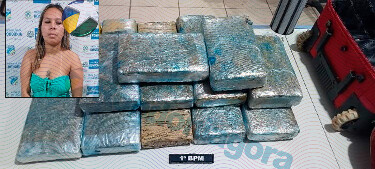 Jovem &eacute; presa com 16 kg de maconha na rodovi&aacute;ria de Porto Velho