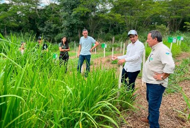 Programa estadual fortalece pecu&aacute;ria leiteira e aumenta produtividade na agricultura familiar em Rond&ocirc;nia

