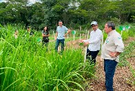 Programa estadual fortalece pecu&aacute;ria leiteira e aumenta produtividade na agricultura familiar em Rond&ocirc;nia
