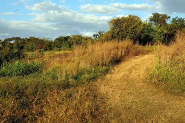 Justi&ccedil;a Federal reconhece como p&uacute;blica fazenda de 952 hectares avaliada em R$ 22 milh&otilde;es em Buritis